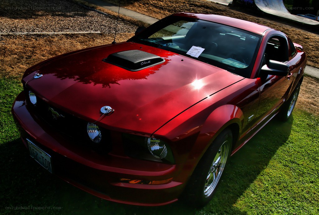 Red Ford Mustang on grass