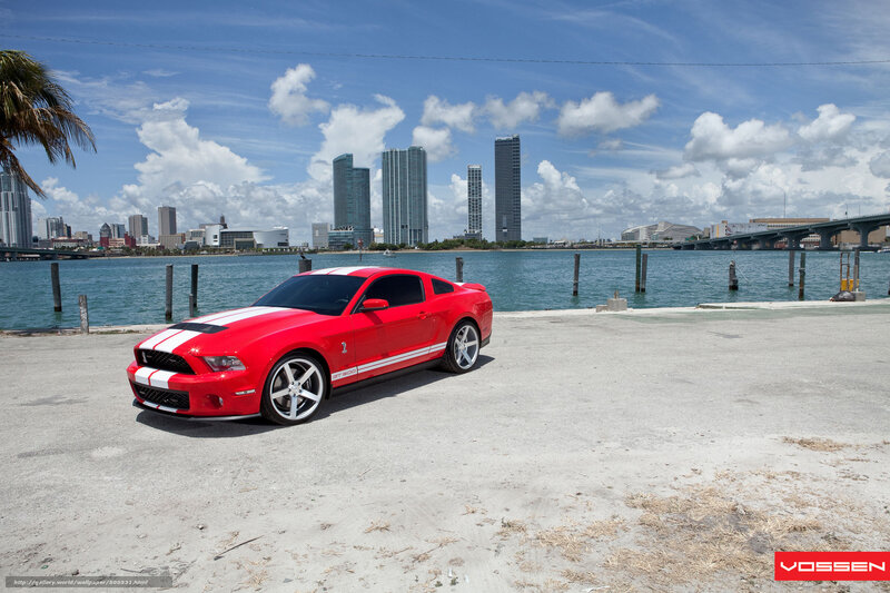 Red Ford Mustang Shelby — Bright