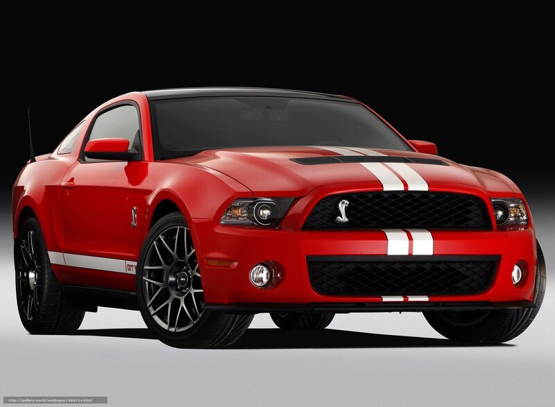 Red Ford Mustang Shelby — Dramatic, Photograph