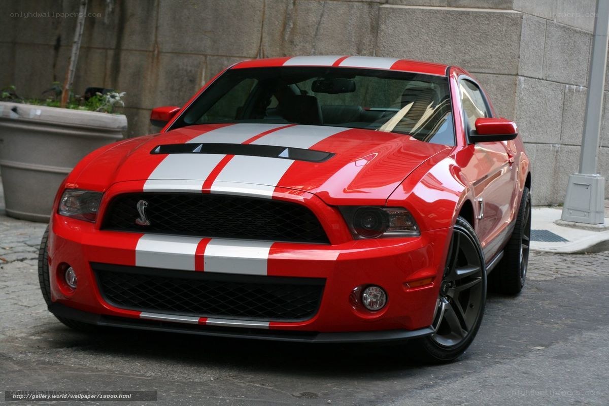 Red Ford Mustang Shelby GT500