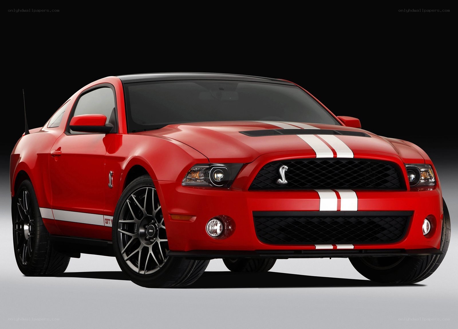 Red Ford Shelby GT500