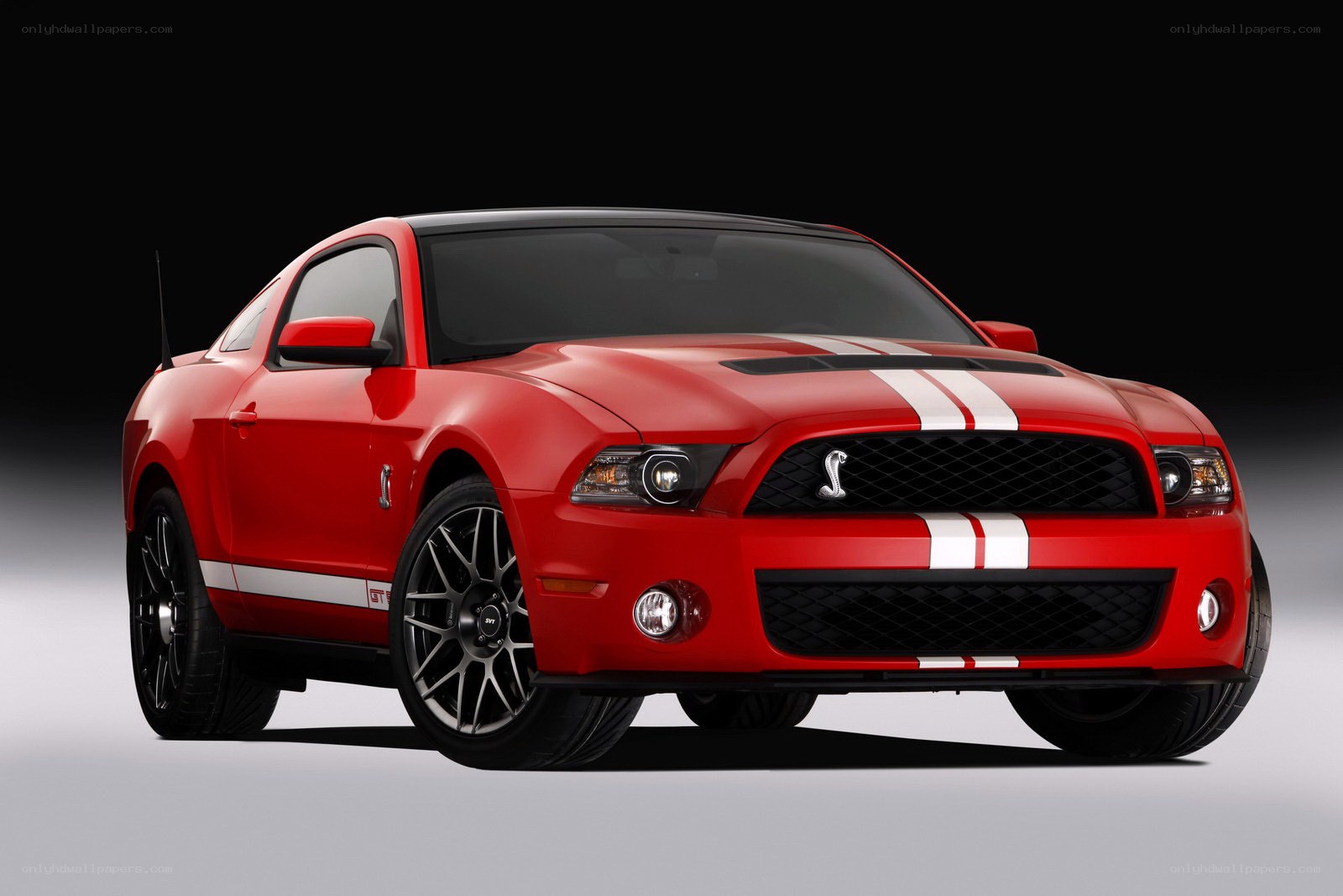 Red Ford Shelby GT500