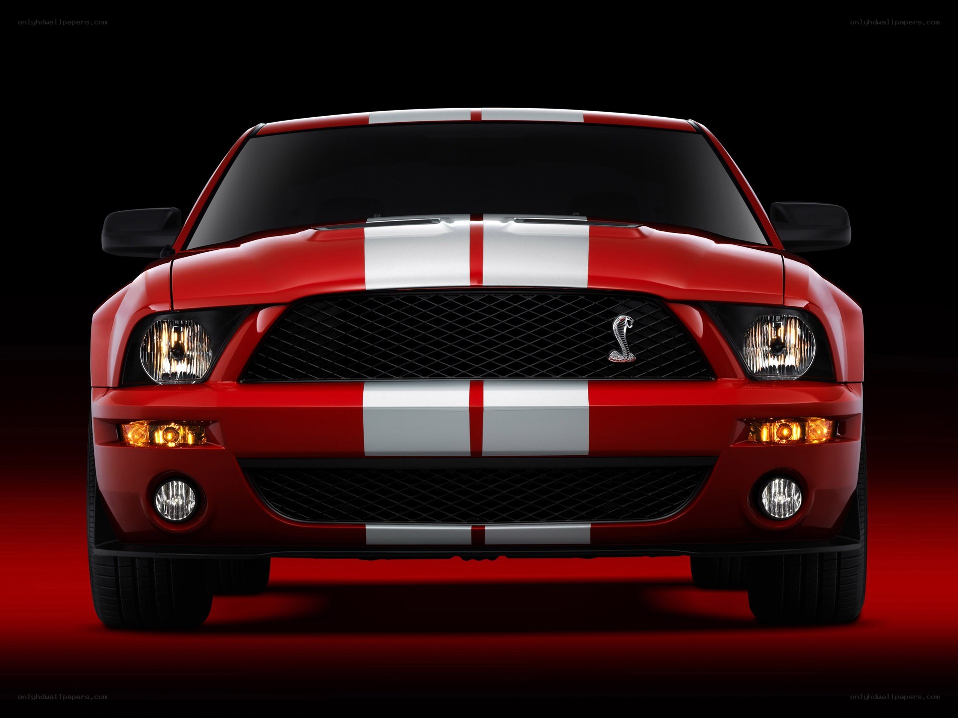 Red Ford Shelby GT500