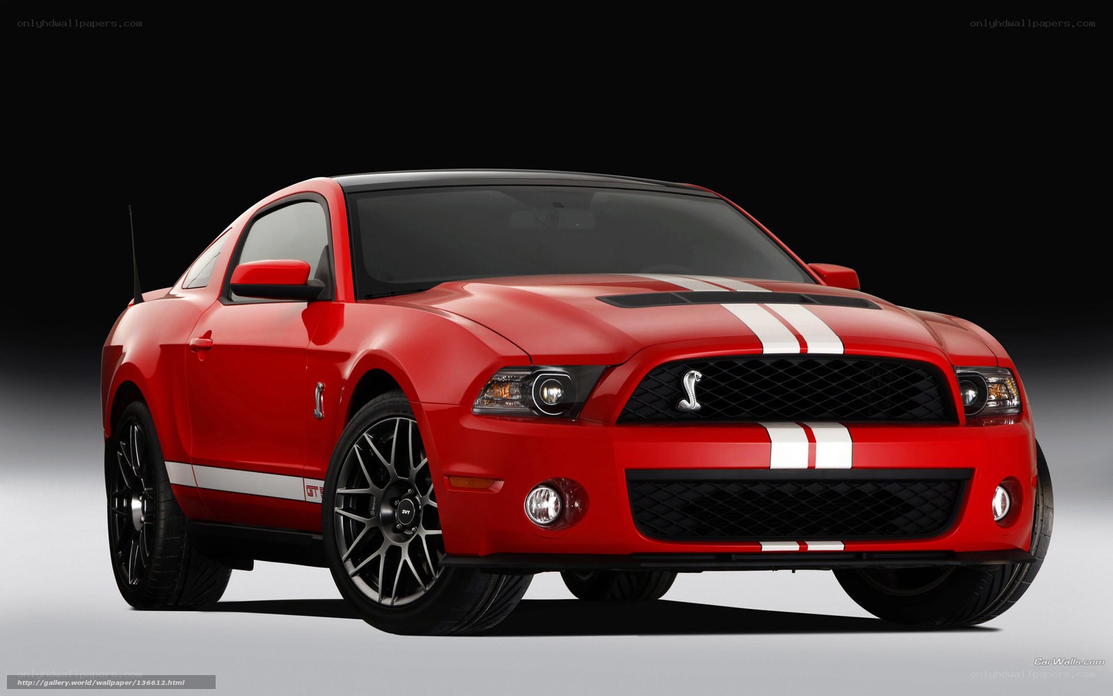 Red Ford Shelby GT500