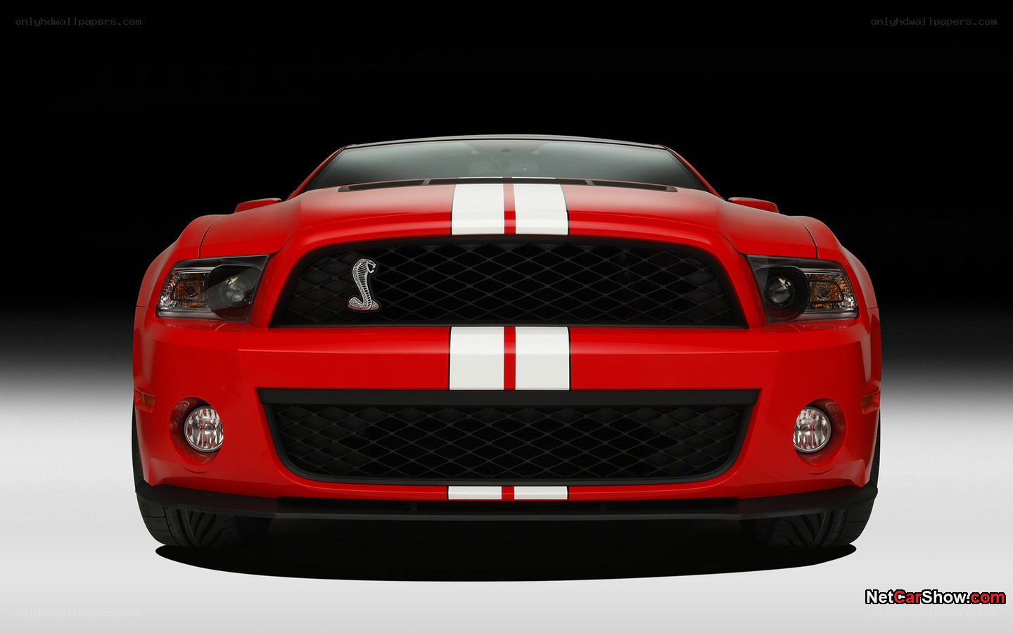 Red Ford Shelby Mustang
