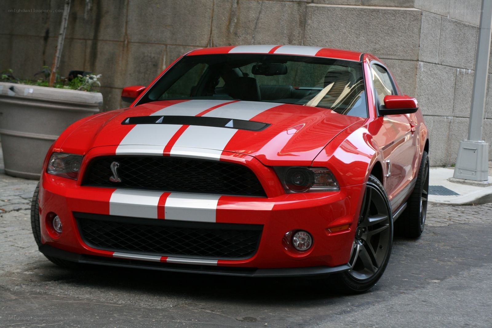 Red Ford Shelby Mustang