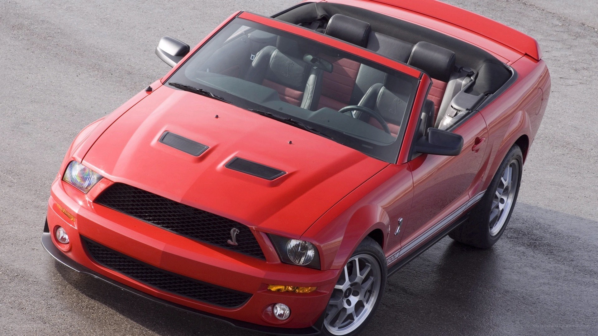 red ford shelby mustang convertible