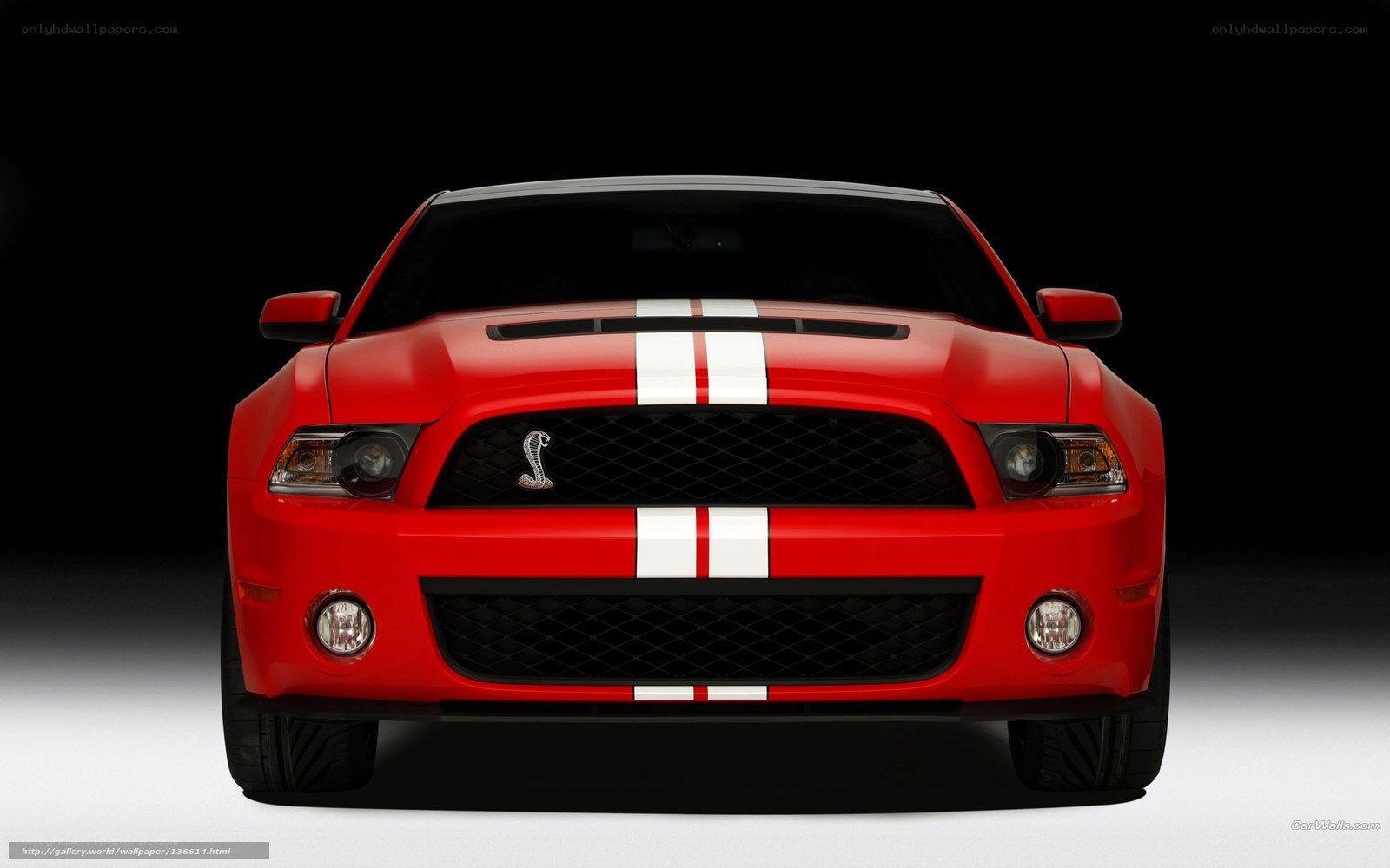 Red Ford Shelby Mustang