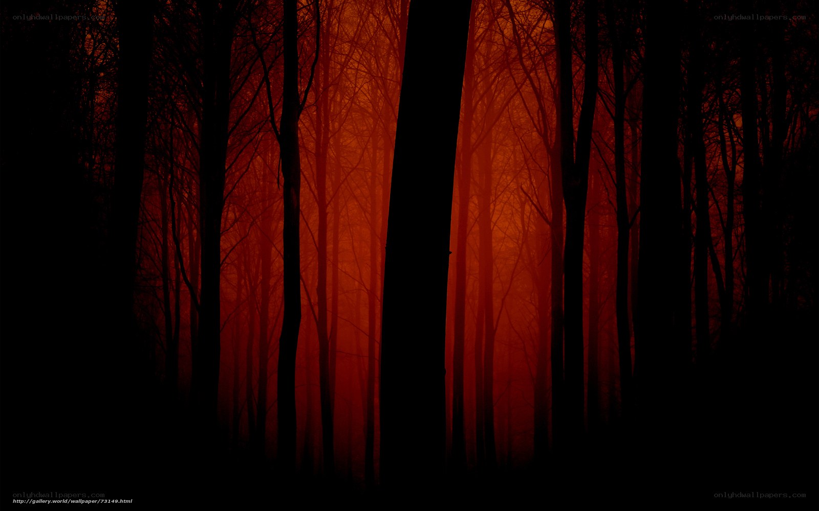 Red forest at dusk