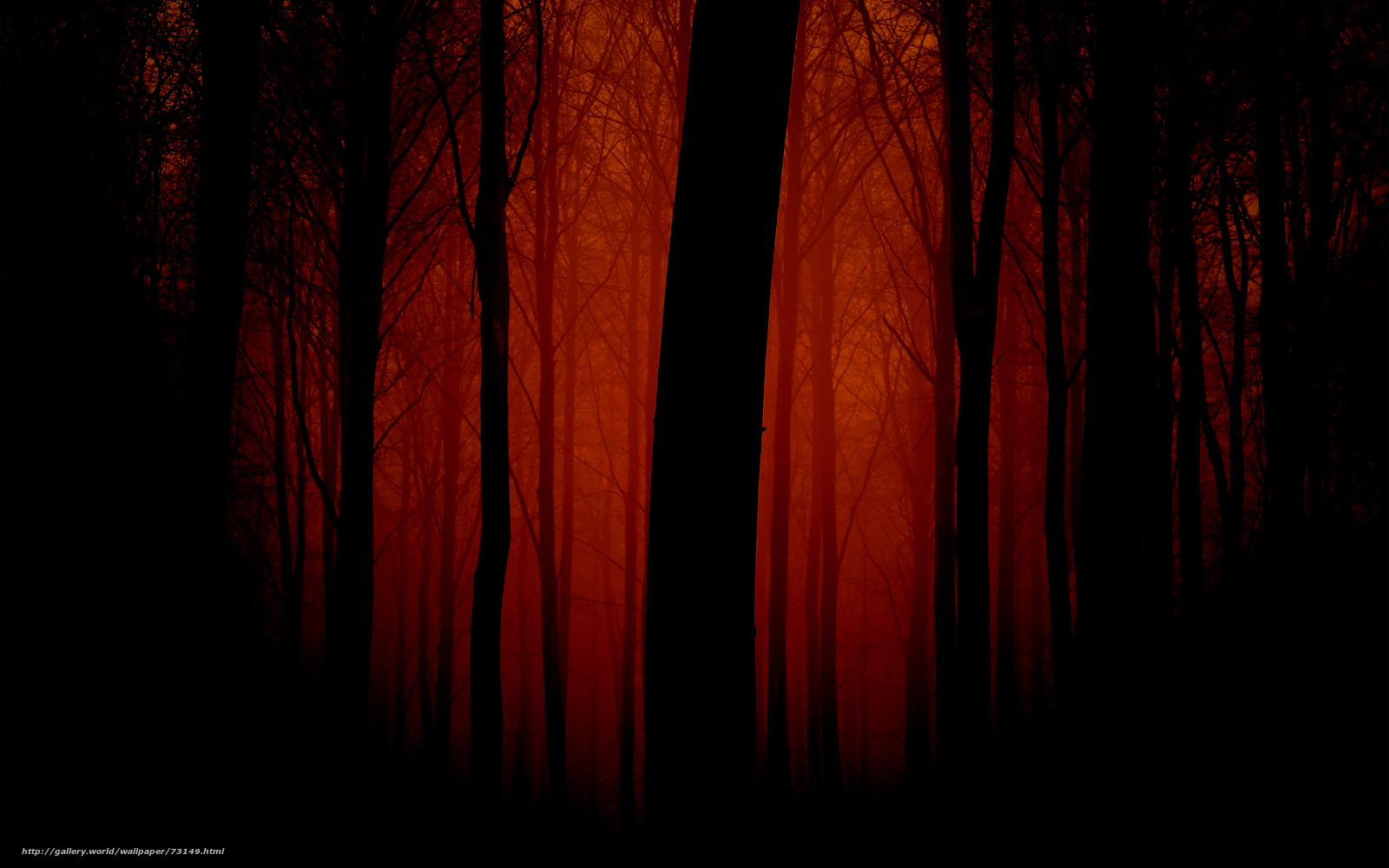 Red forest at dusk