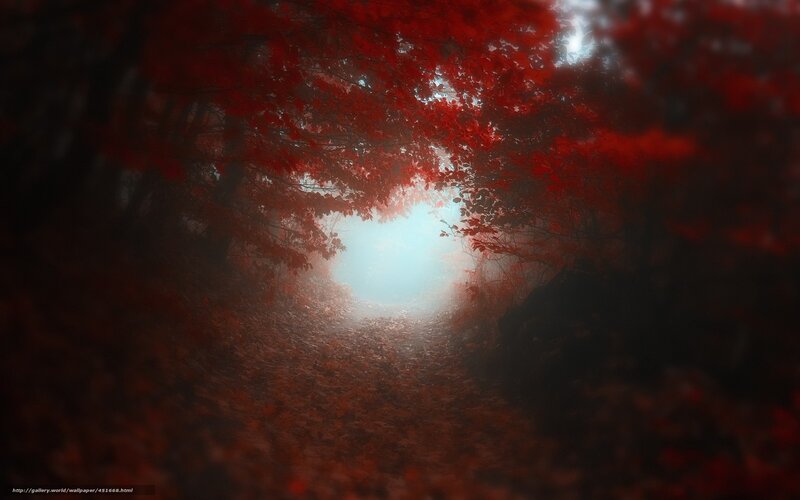 Red Forest Pathway