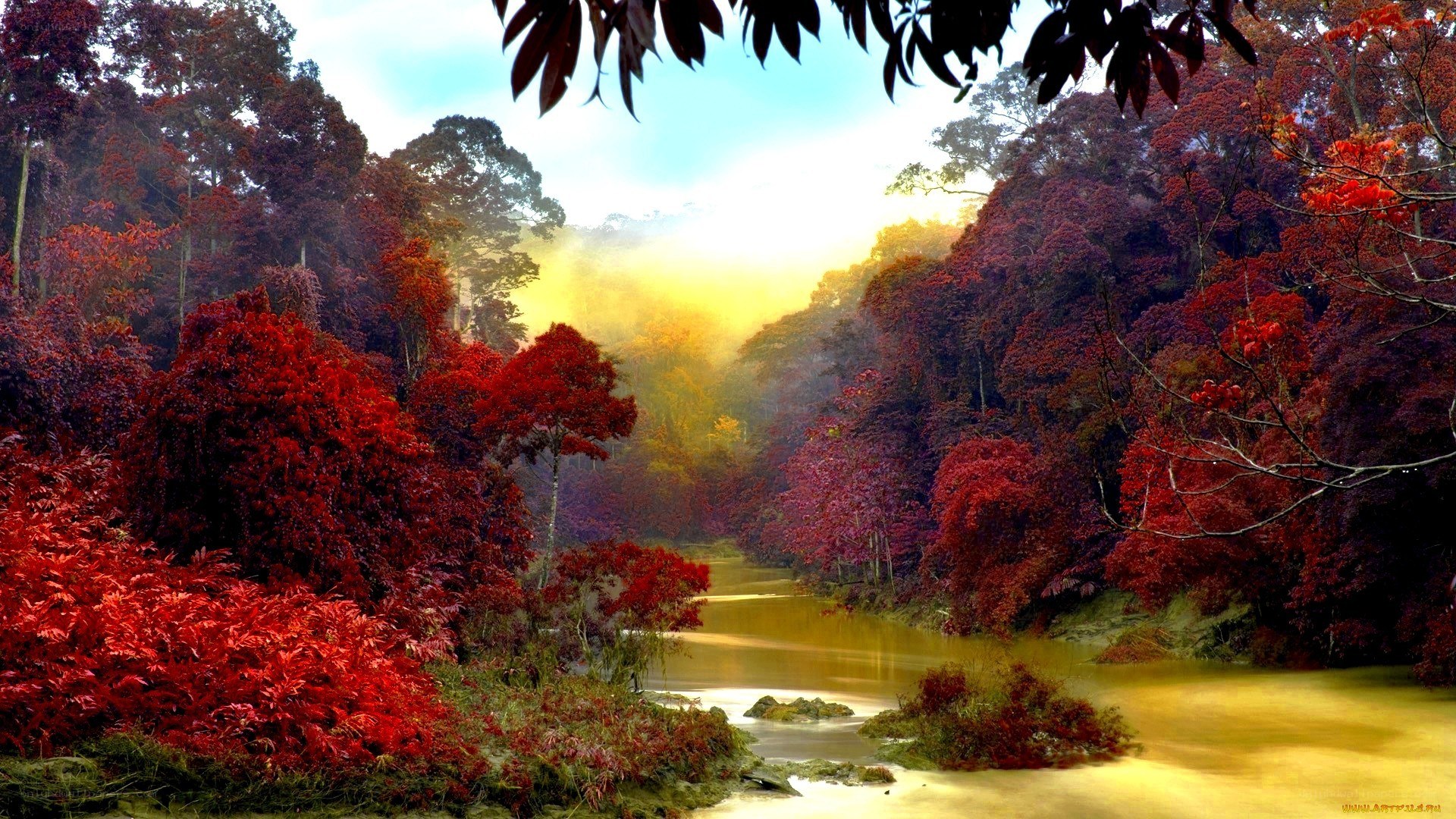 Red forest river landscape