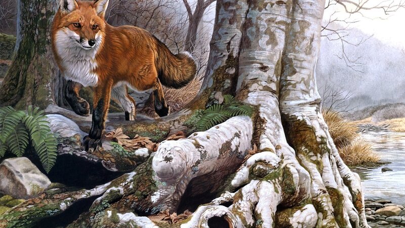 Red Fox in Forest — Brown, Natural, Autumn, Illustration