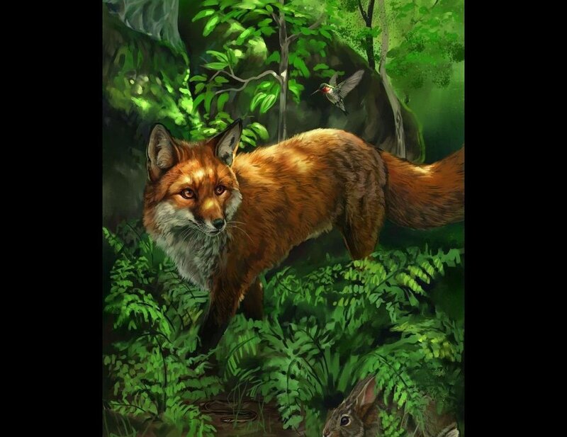 Red Fox in Forest — Green