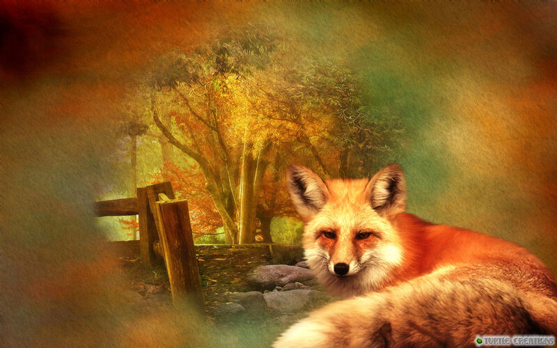 Red Fox in Forest — Orange, Serene