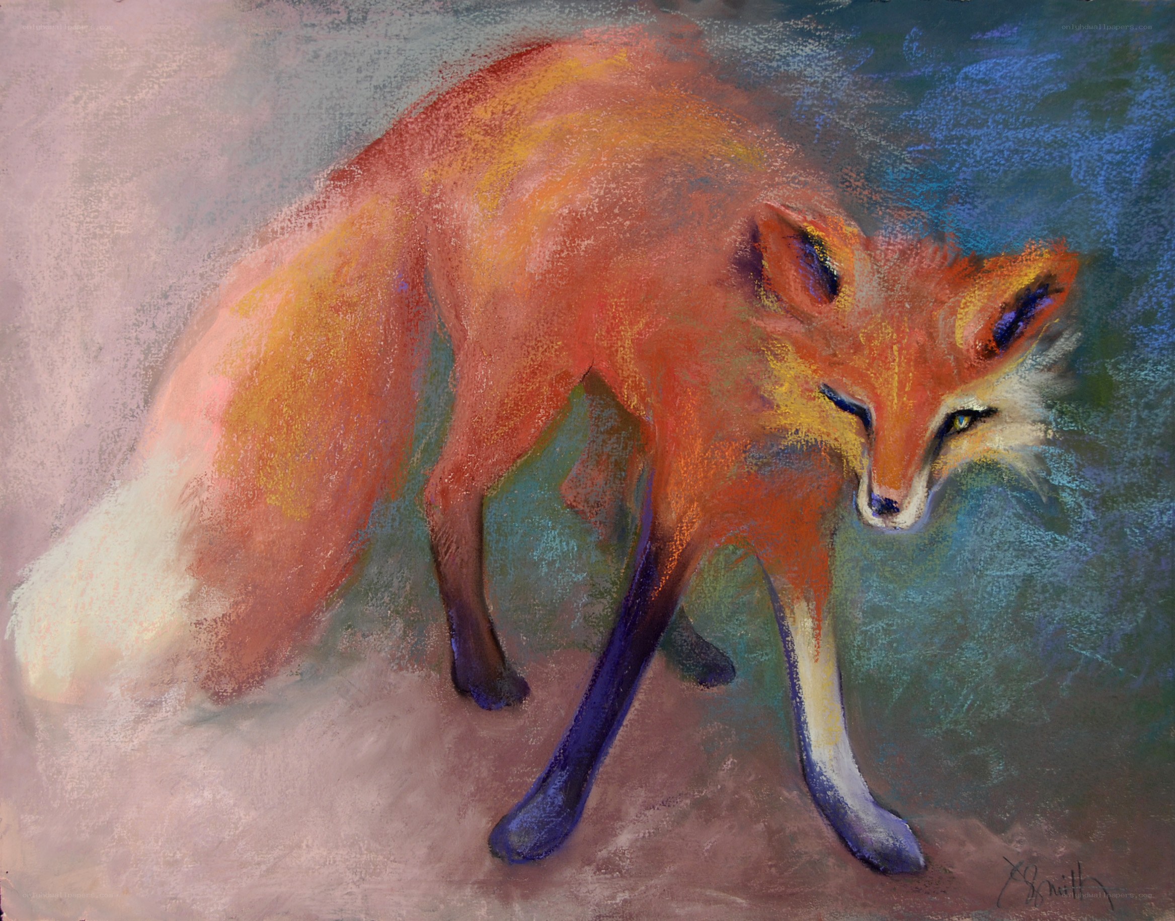 Red fox in pastel art