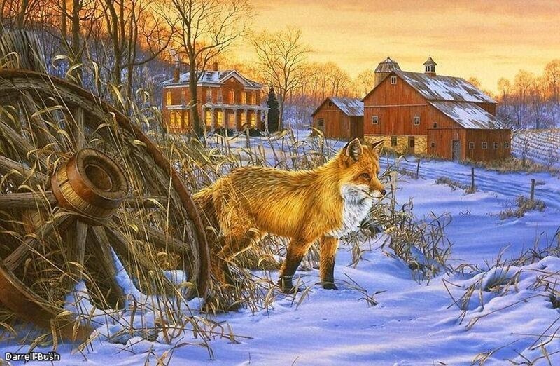 Red Fox in Snow — Orange, Serene, Winter