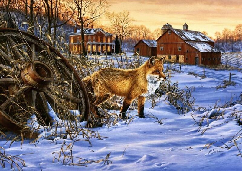 Red Fox in Snow — White, Serene