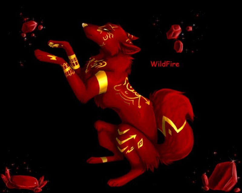 Red Fox-like Creature — Dramatic
