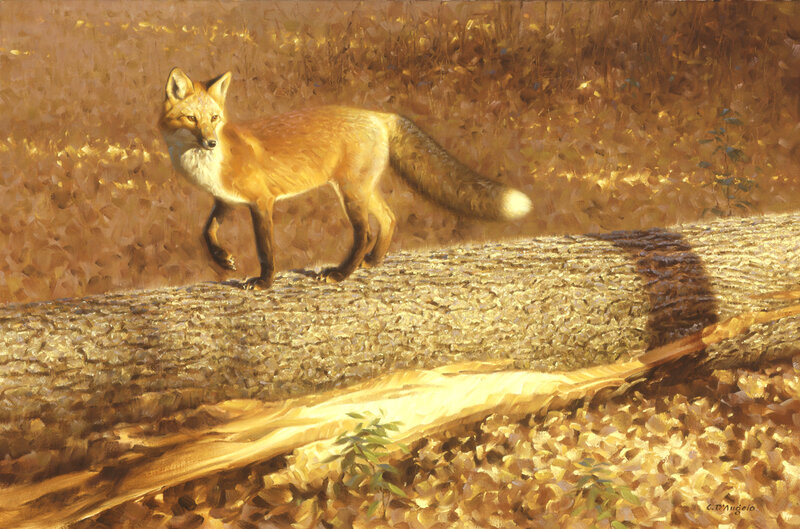 Red Fox on Log — Brown