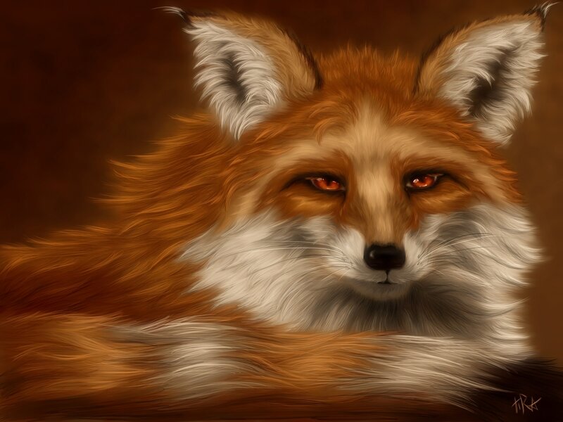 Red Fox Portrait — Orange, Dramatic