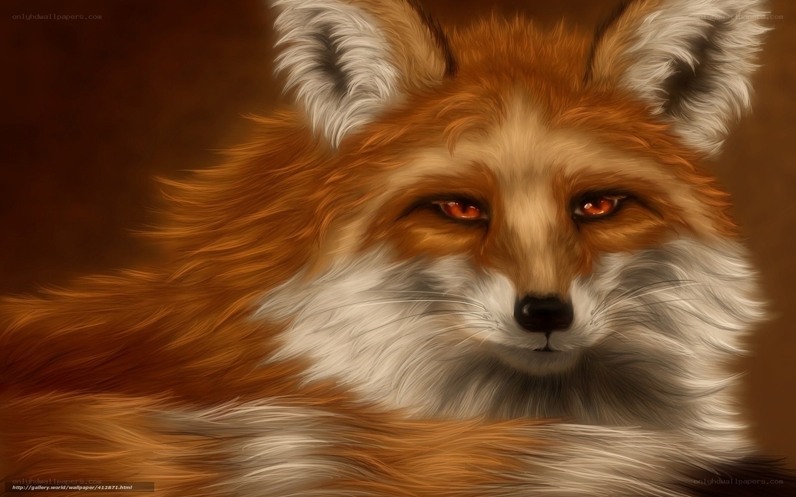 red fox portrait