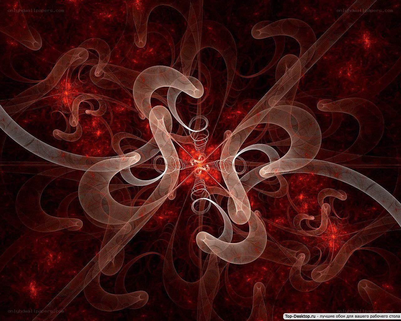 Red fractal abstract design