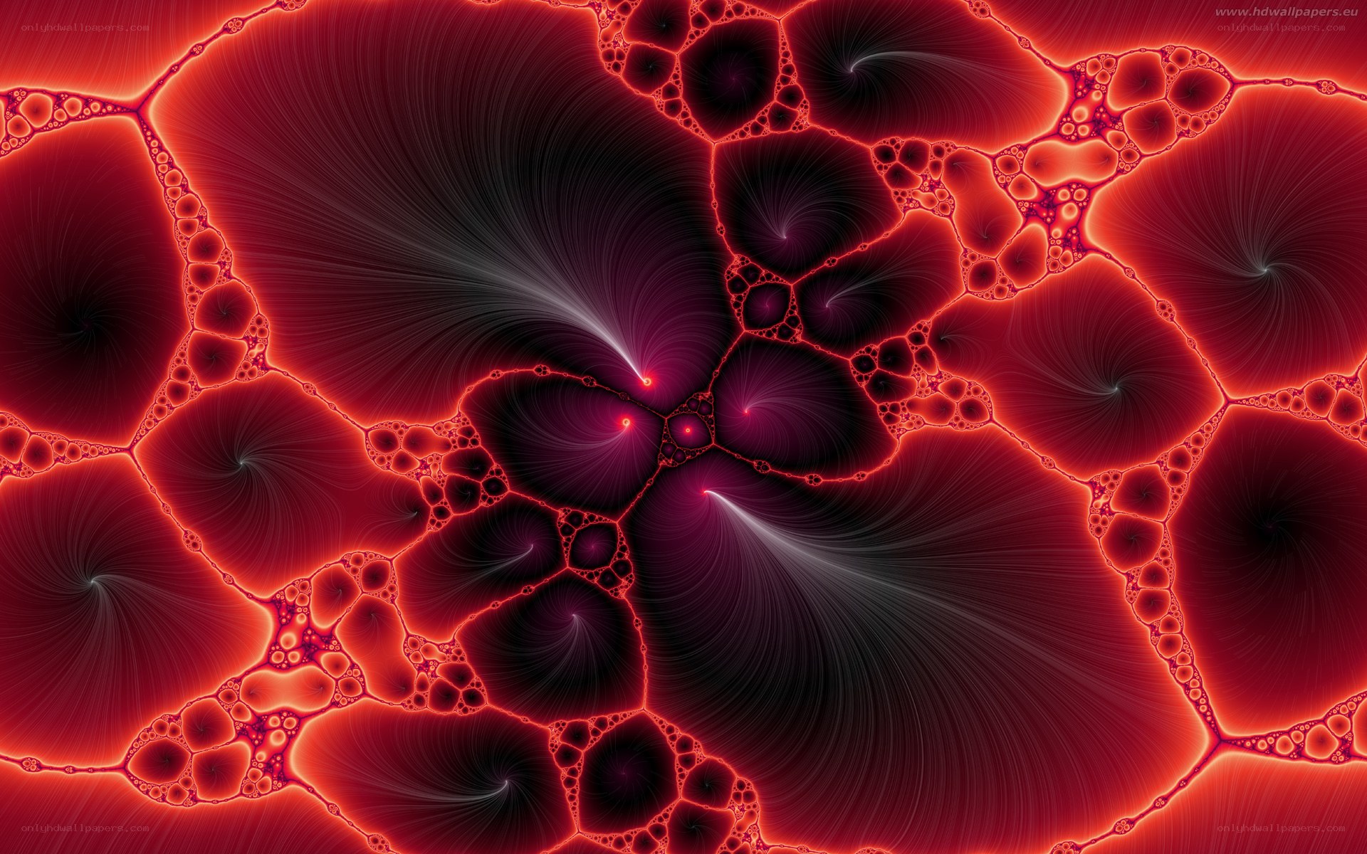Red fractal abstract pattern