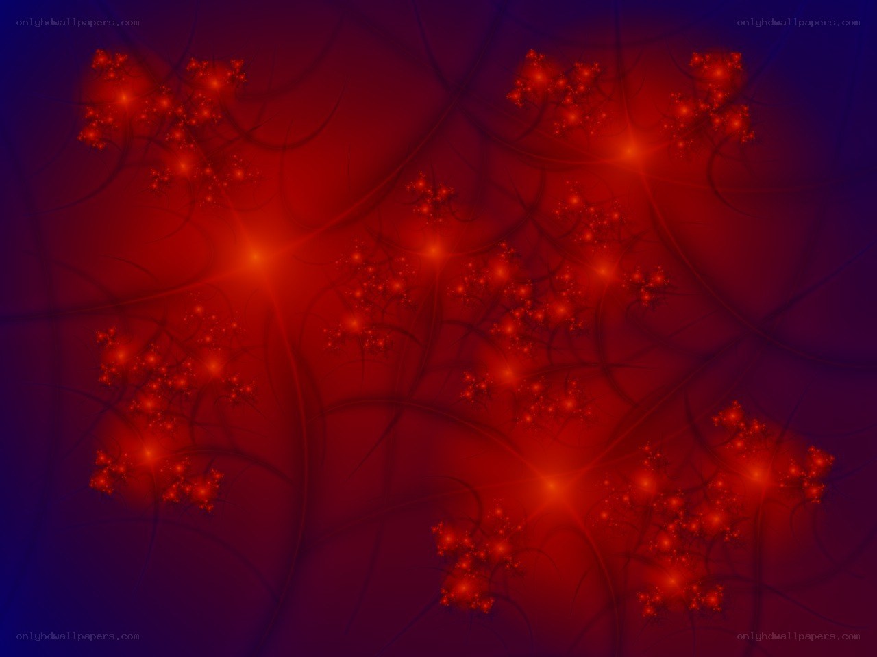 Red fractal abstract pattern
