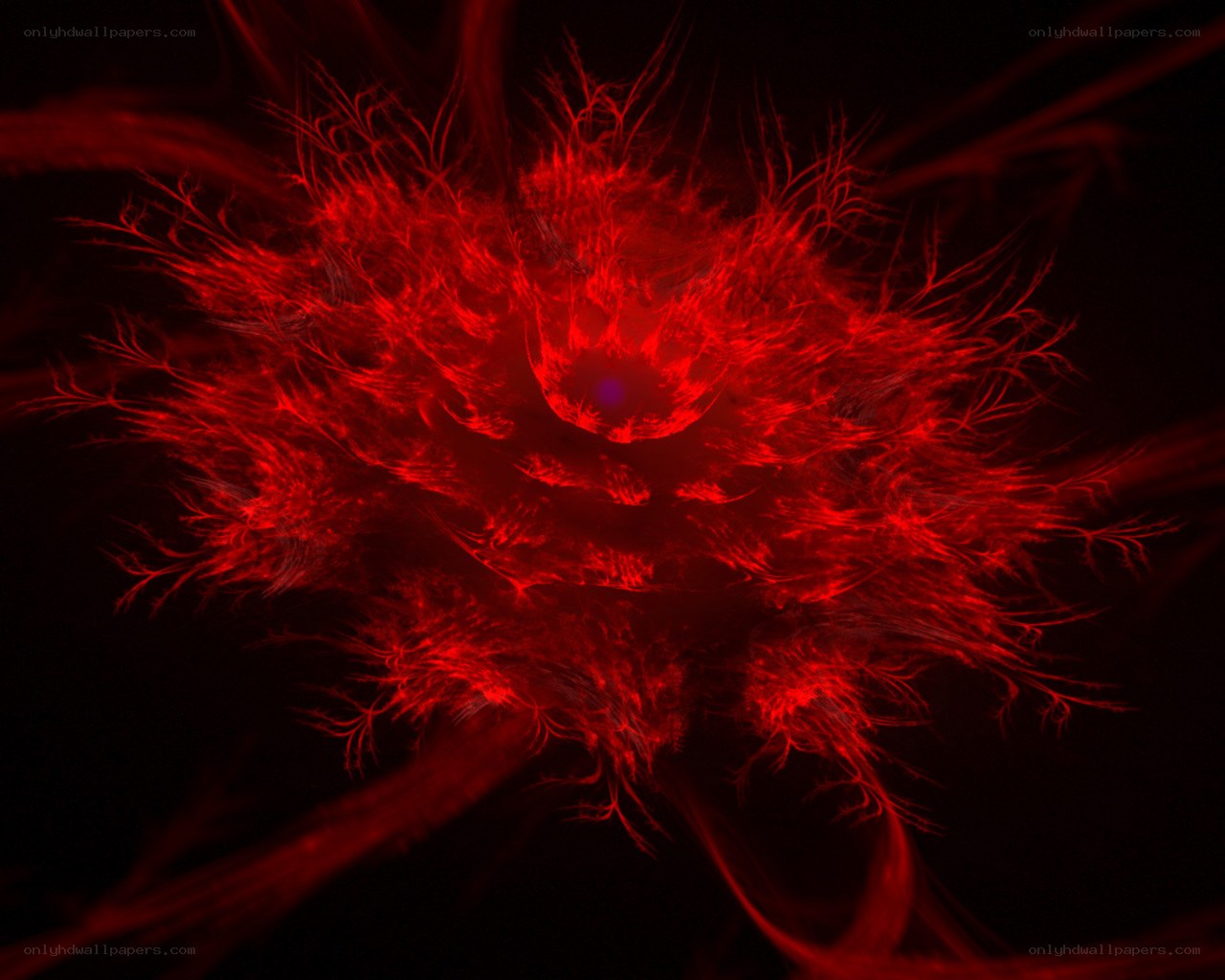Red fractal explosion