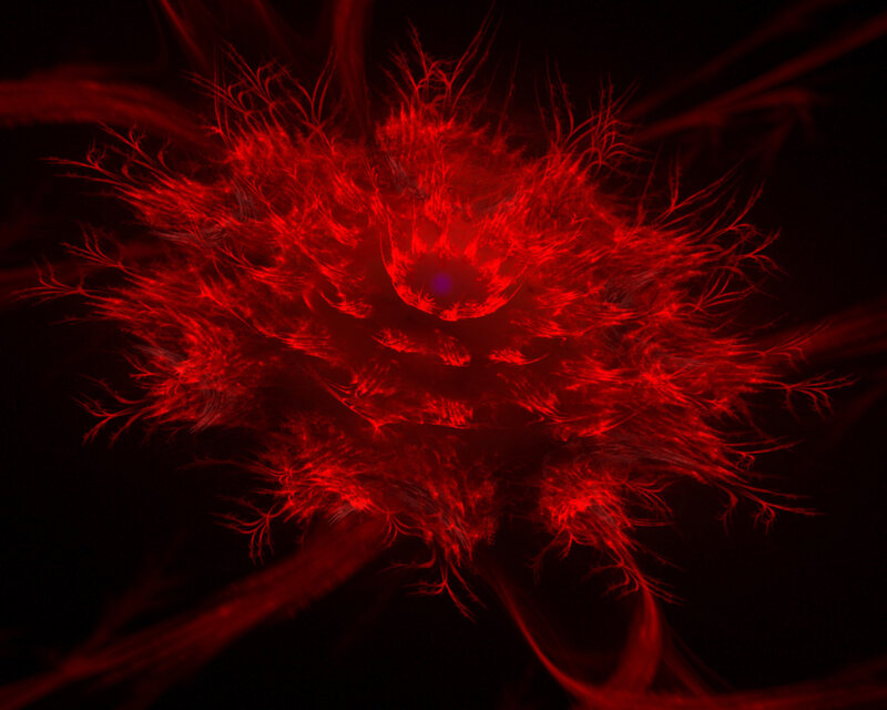 Red Fractal Explosion — Dramatic, Digital Art, Light, Darkness