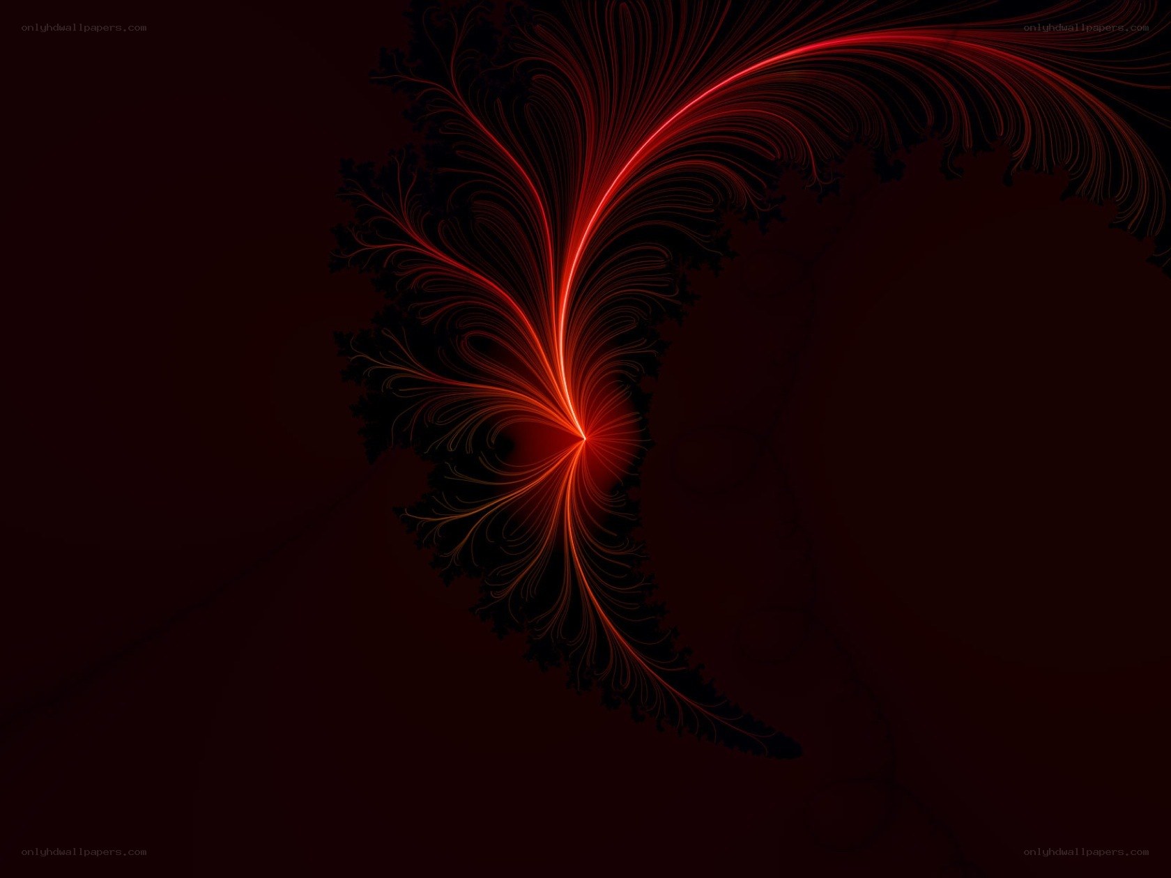 Red fractal feather design