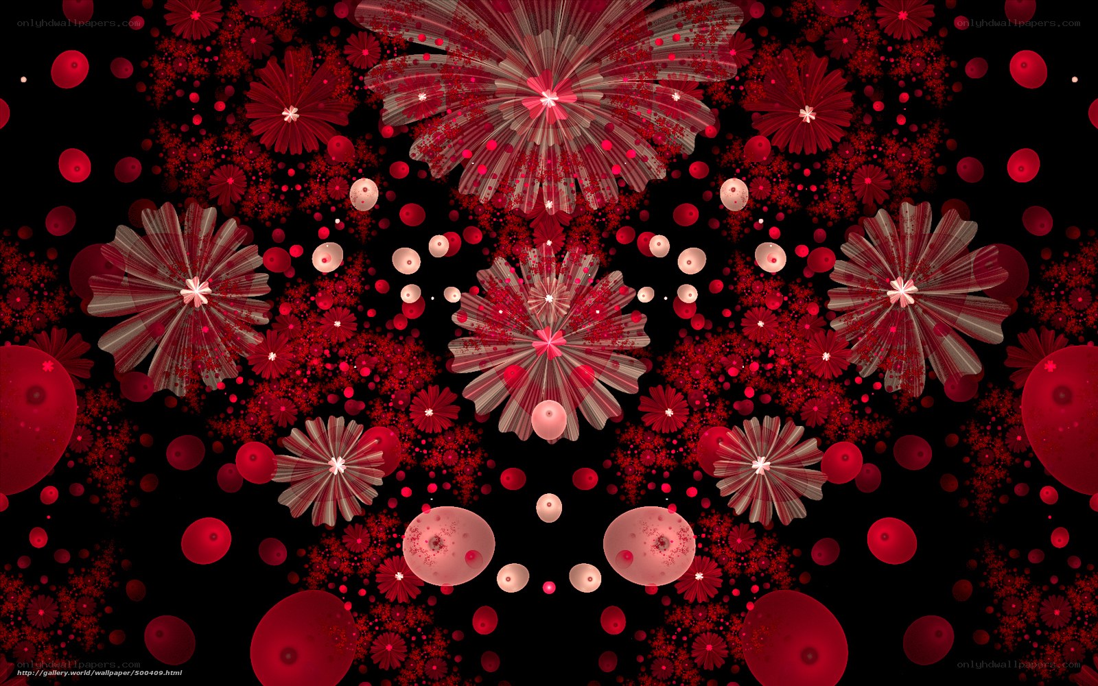 Red fractal fireworks display