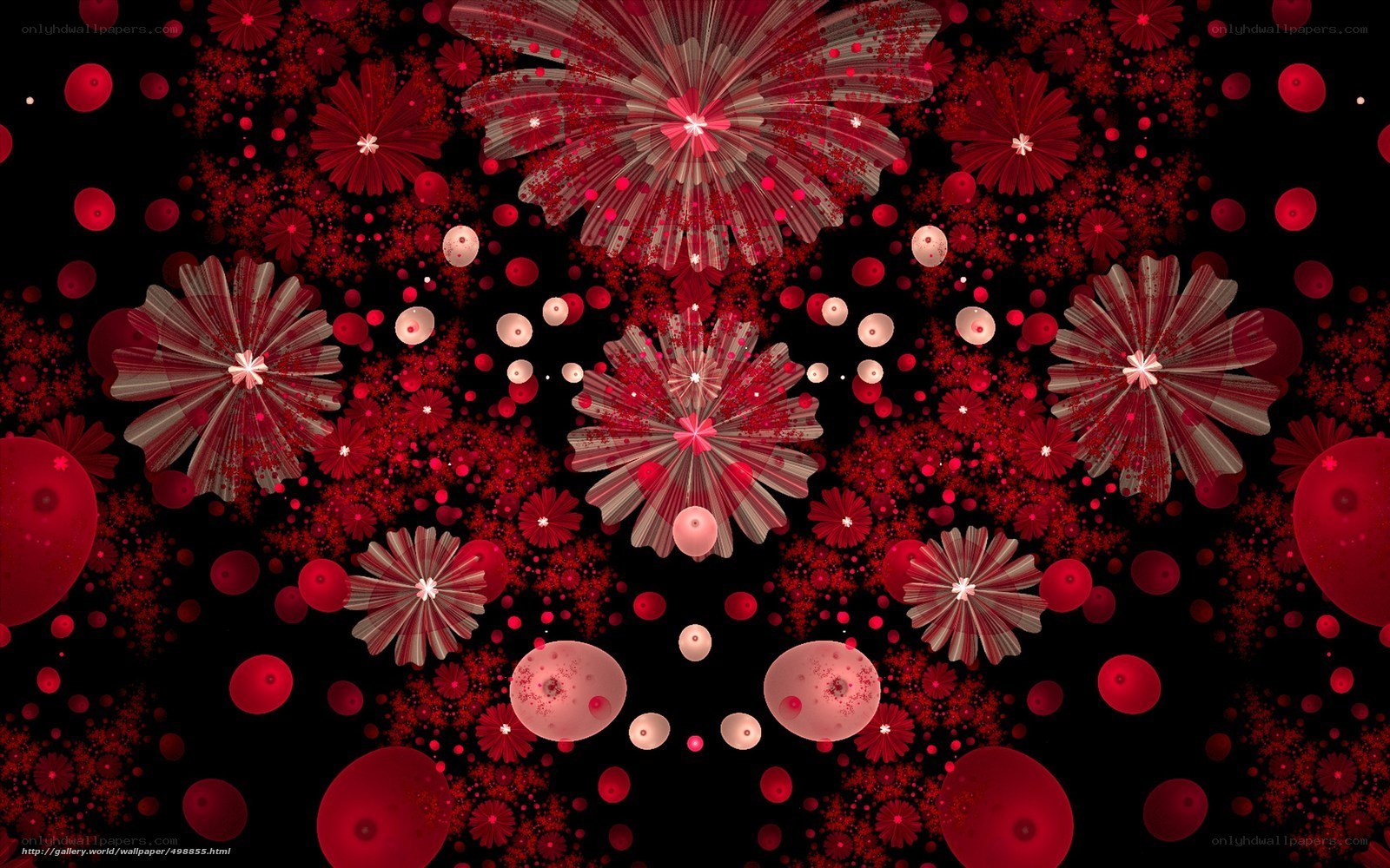 Red fractal fireworks