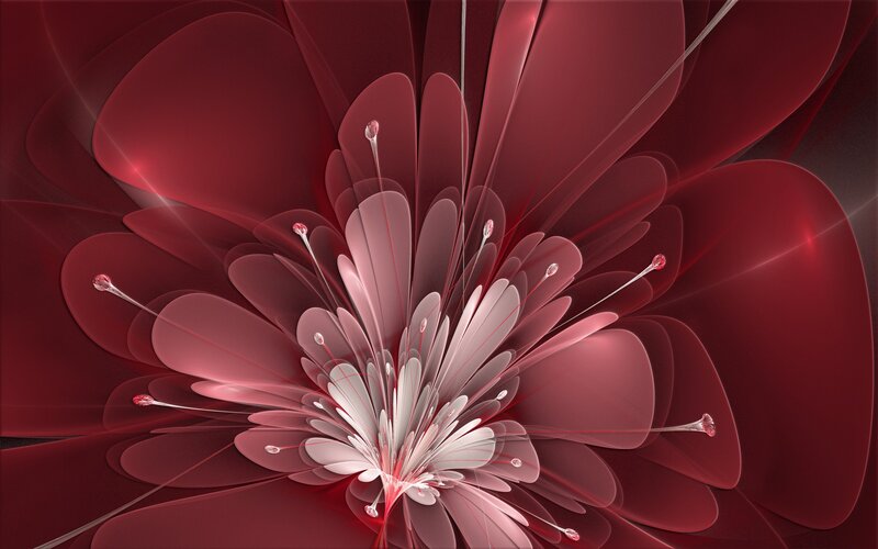 Red Fractal Flower — Abstract