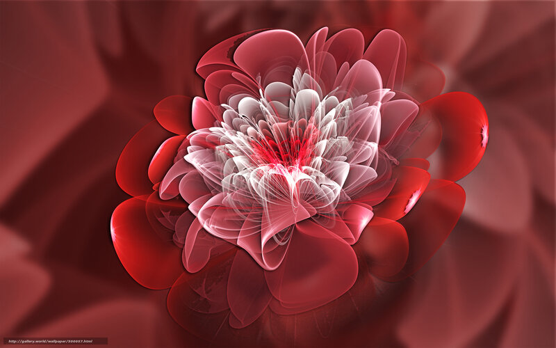 Red fractal flower art
