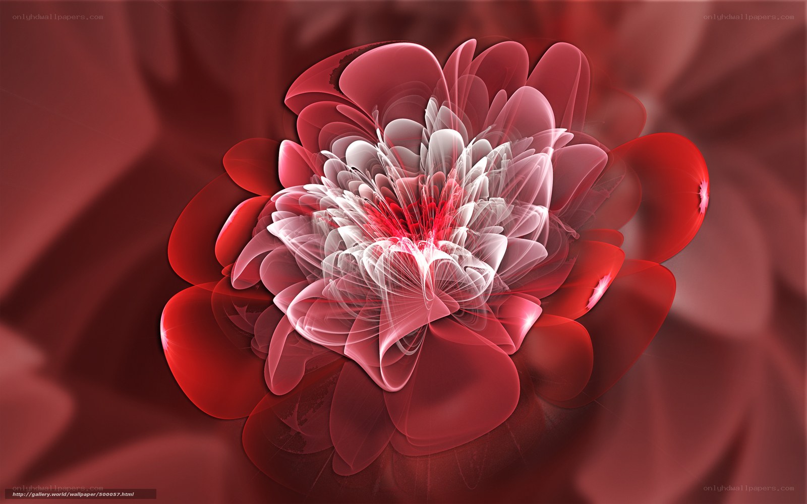 Red fractal flower art