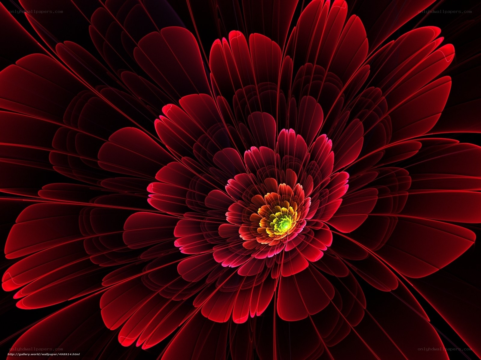 Red fractal flower bloom
