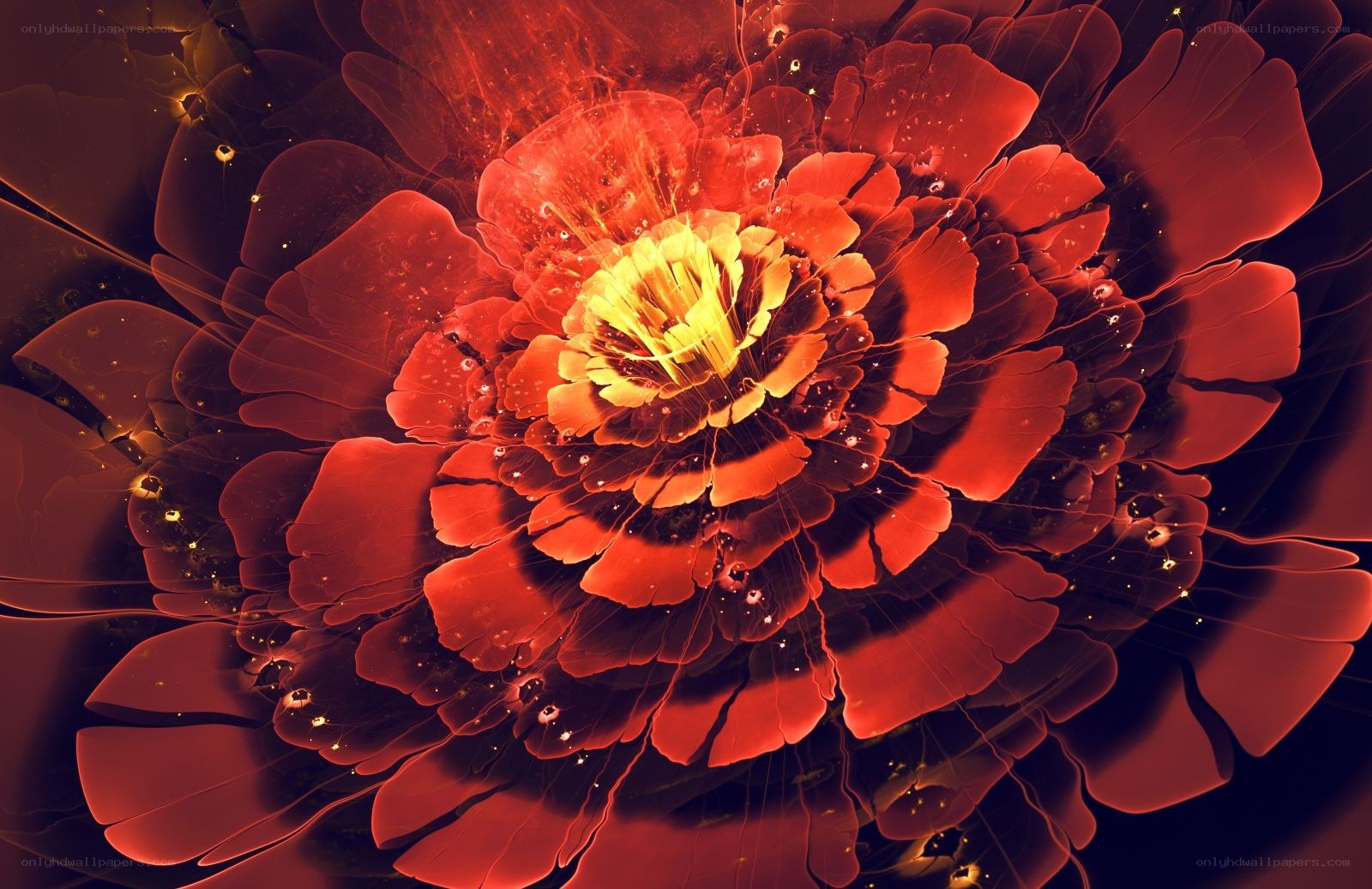 Red fractal flower bloom
