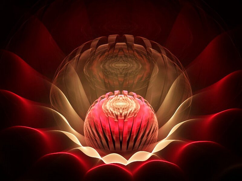 Red fractal flower bloom