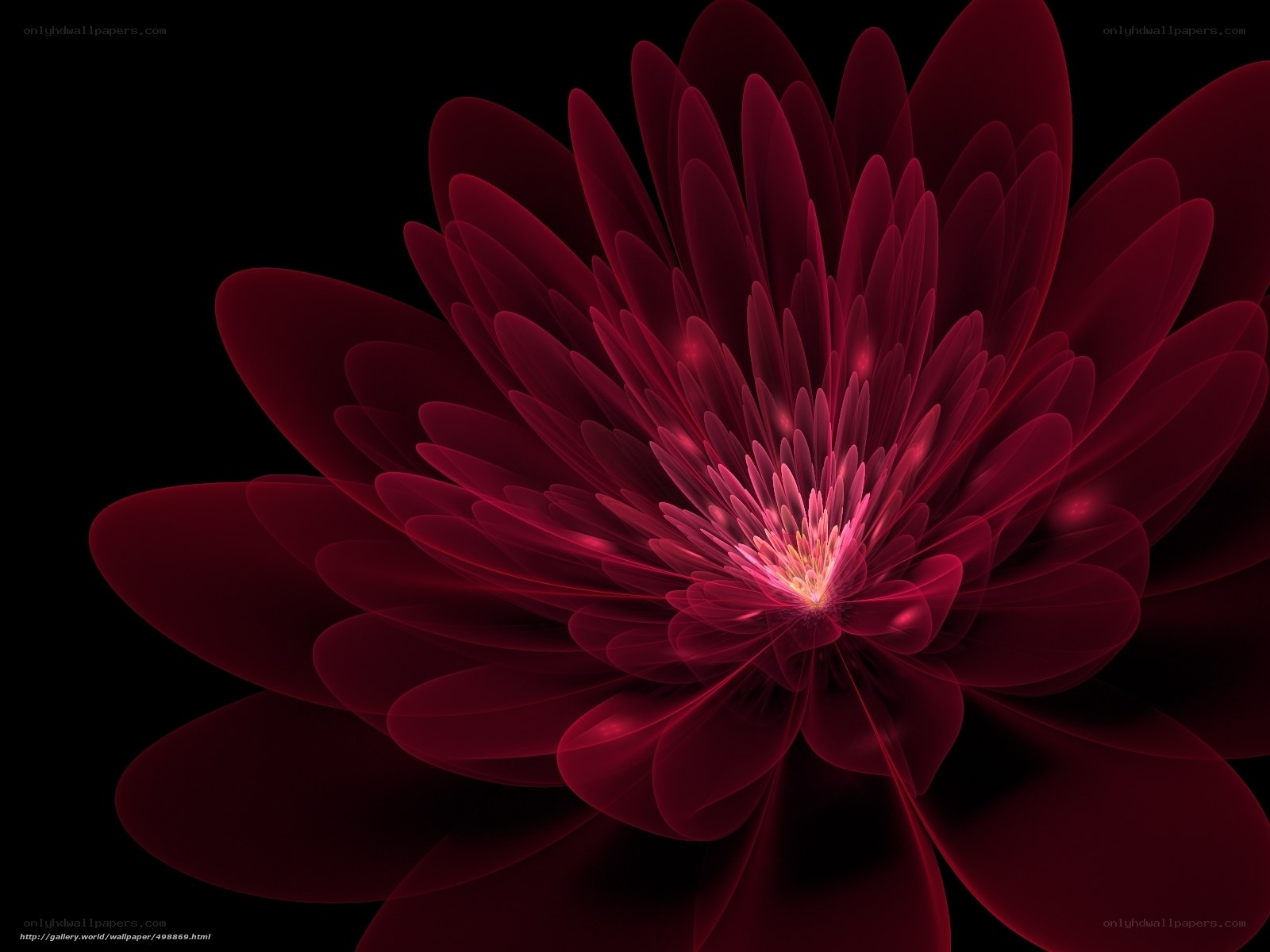 Red fractal flower bloom