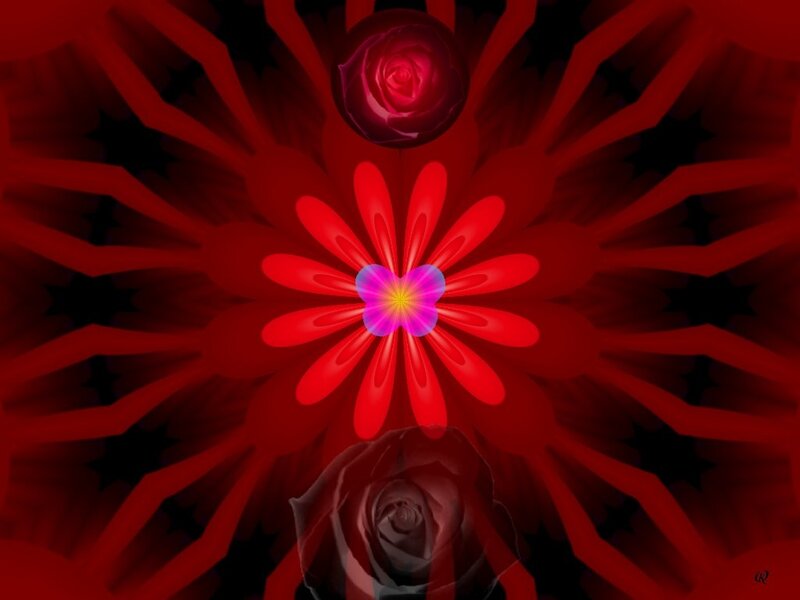 Red Fractal Flower Design — Dramatic
