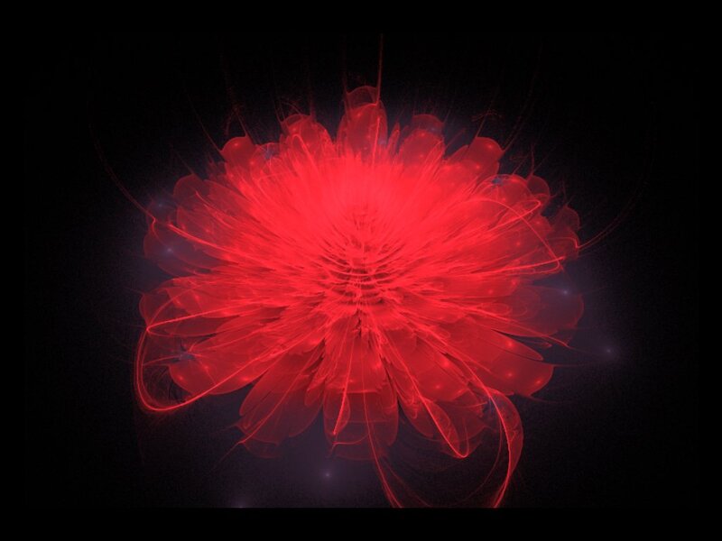 Red Fractal Flower — Dramatic, Digital Art, Light