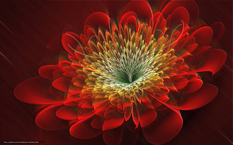 Red Fractal Flower — Dramatic, Digital Art, Petals, Center, Background