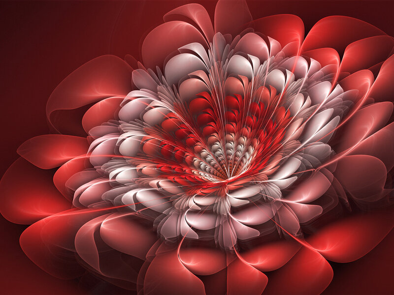 Red Fractal Flower — Dramatic, Digital Art, Petals, Center, Light