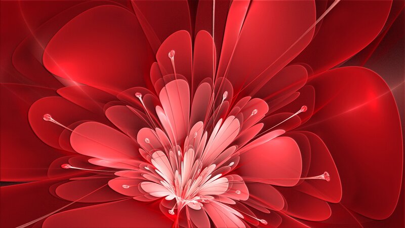 Red Fractal Flower — Dramatic, Digital Art, Petals, Stamen