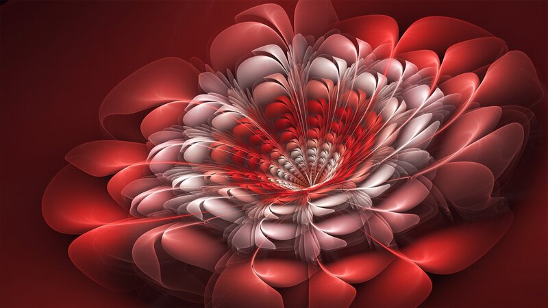 Red Fractal Flower — Dramatic, Digital Art, Petals
