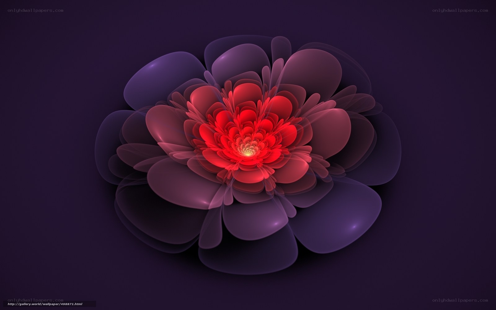 Red fractal flower on purple