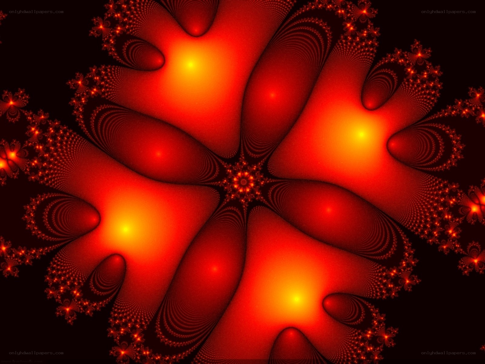 Red fractal flower pattern