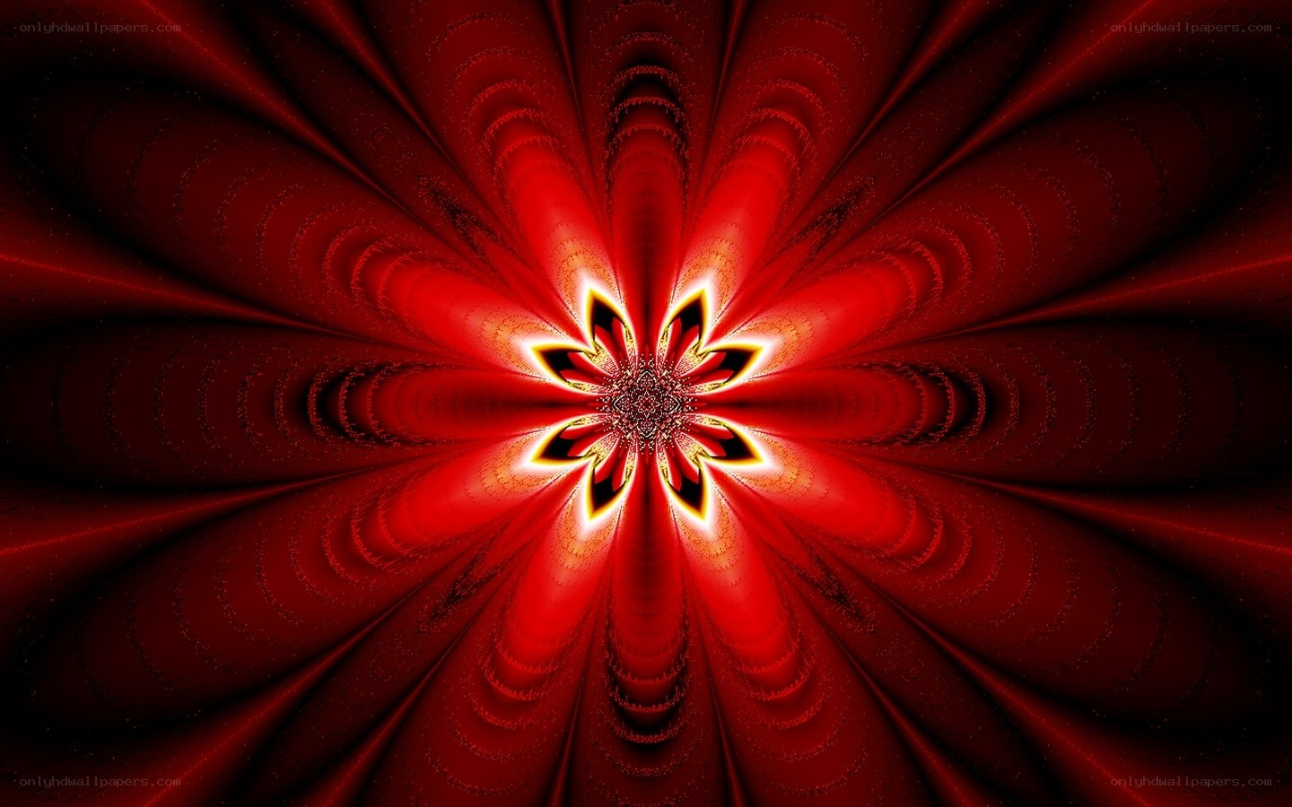 Red fractal flower pattern